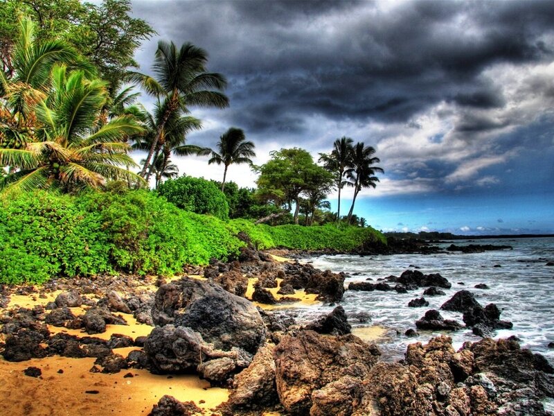 Stormy tropical coastline