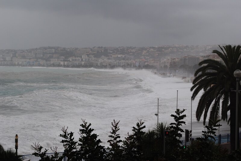 Stormy waves at the coast