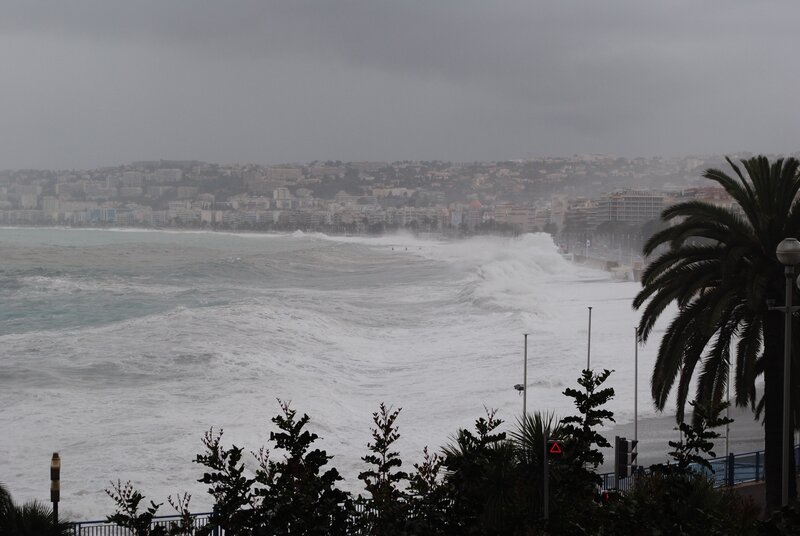 Stormy waves at the coast