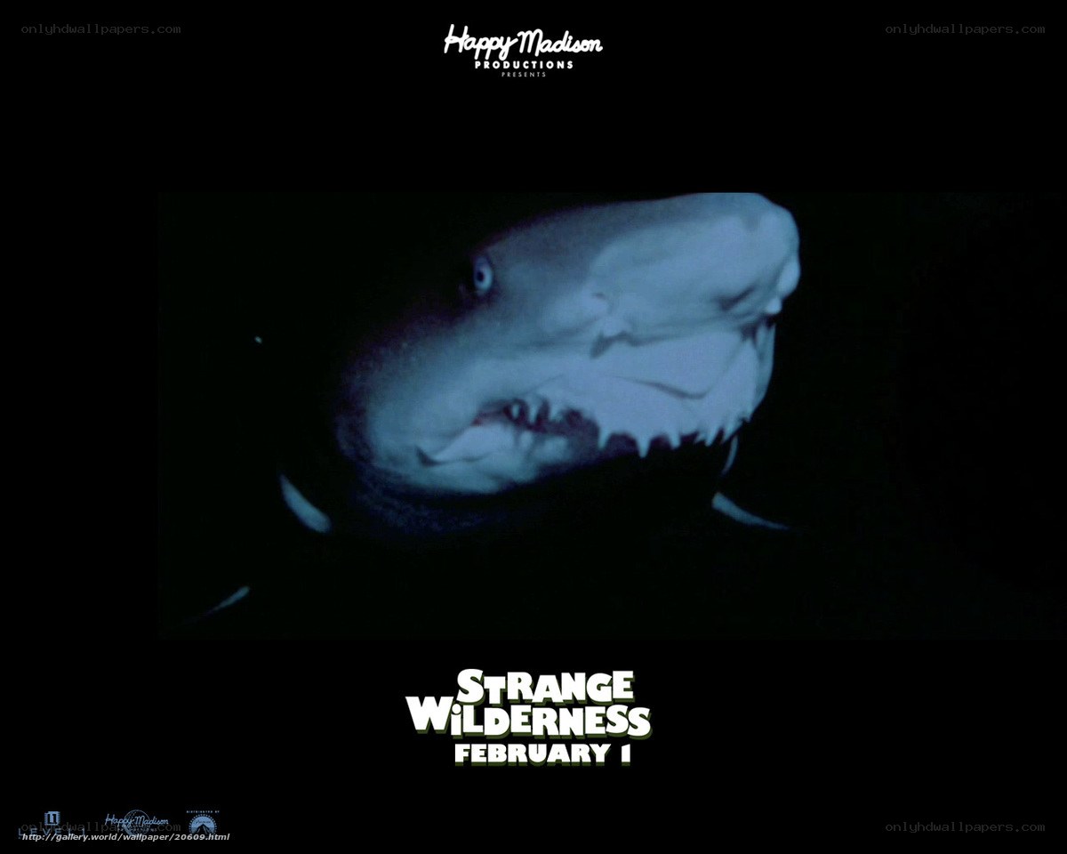 Strange Wilderness movie poster