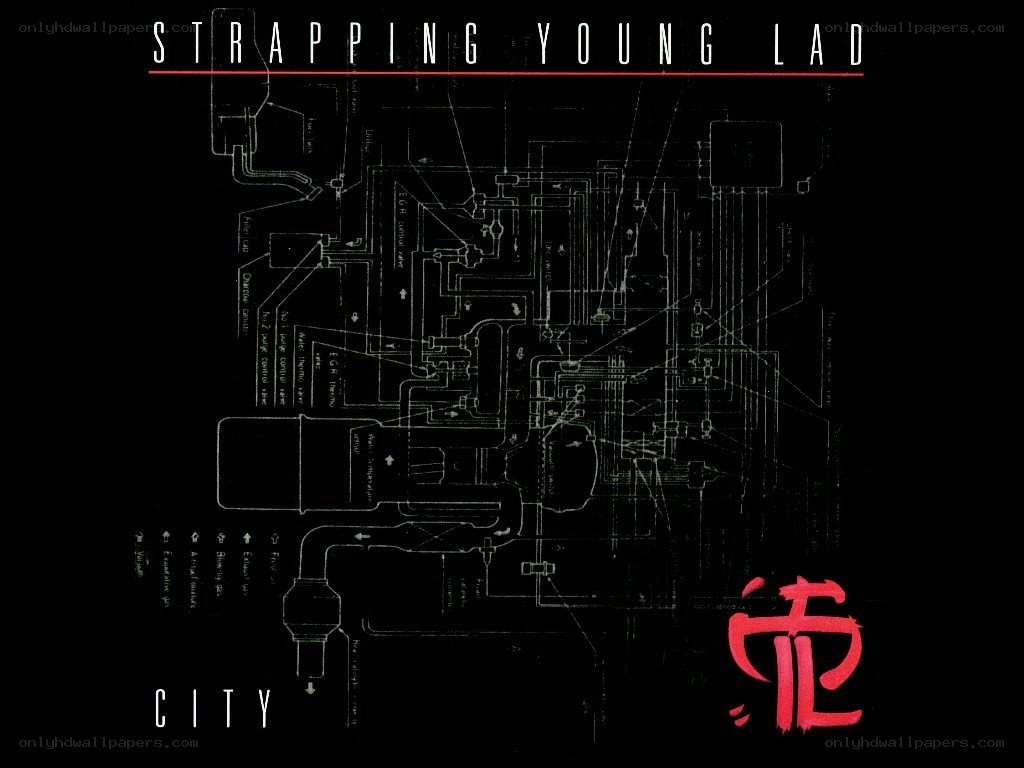 Strapping Young Lad - City