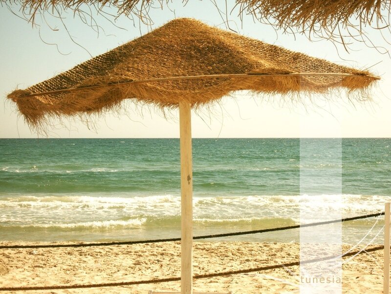 Straw Beach Umbrella — Beige, Serene