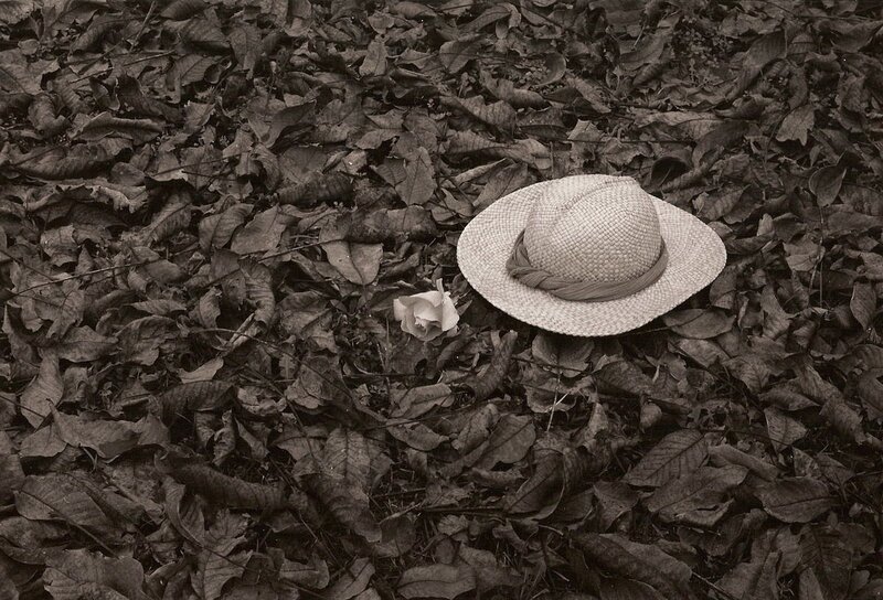Straw Hat and Rose