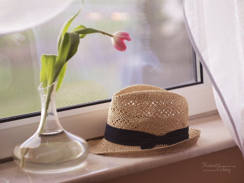 Straw Hat and Tulip