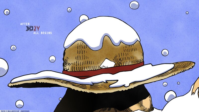 Straw Hat Covered in Snow