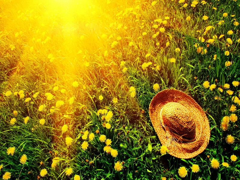 Straw Hat in Field