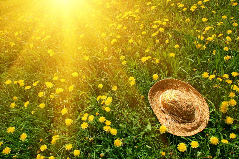 Straw Hat in Field — Yellow, Serene