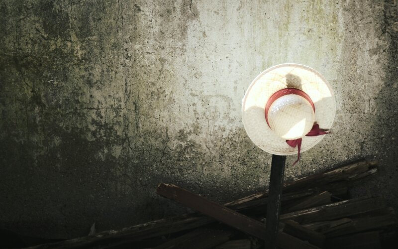 Straw hat on a pole