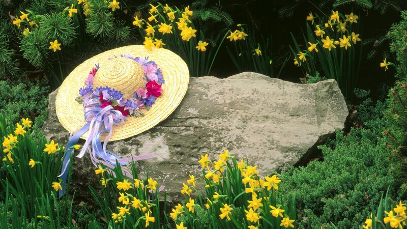 Straw Hat on Rock