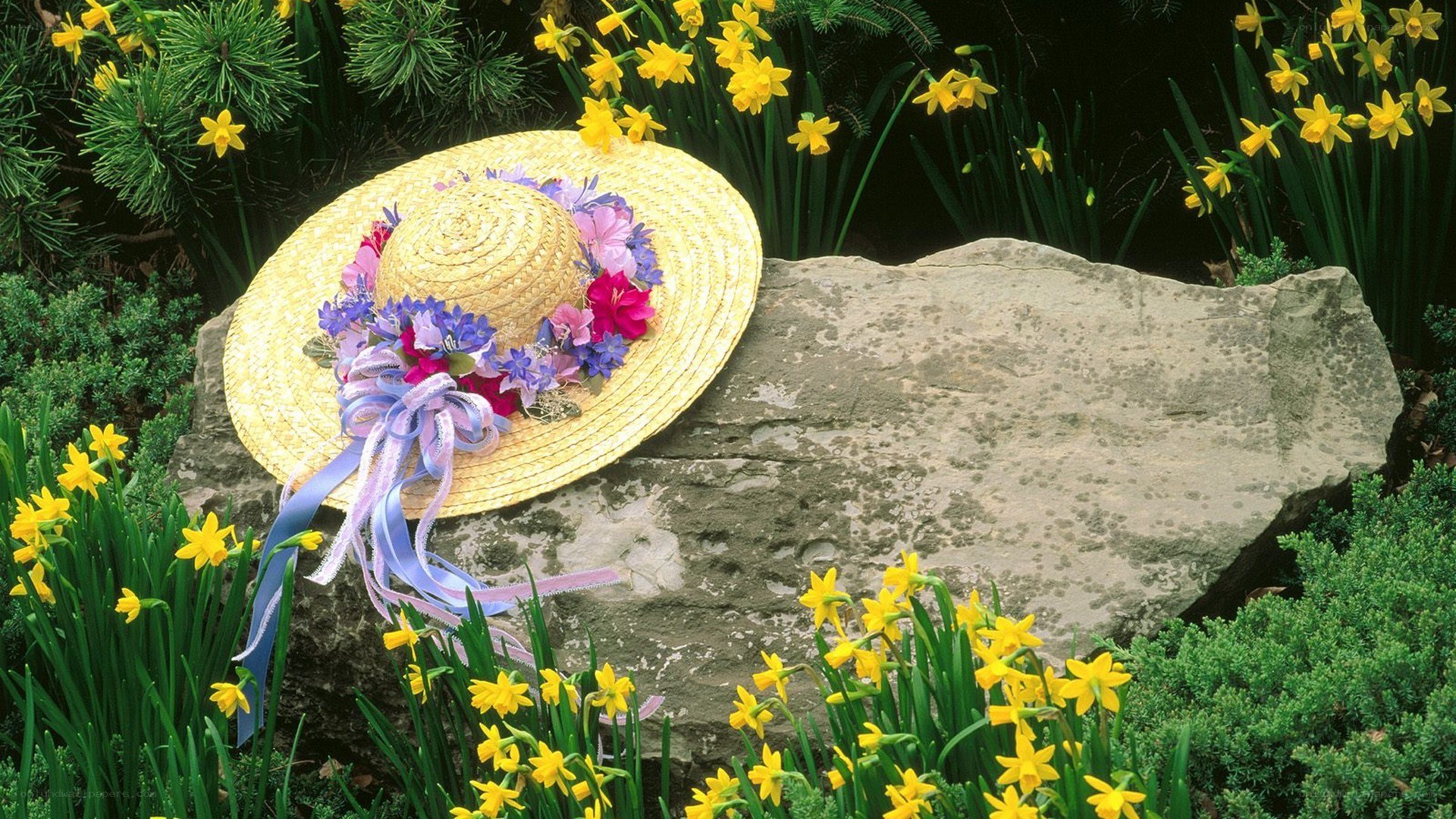 Straw hat with flowers on a rock