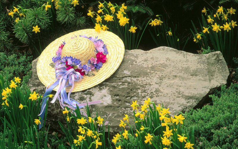 Straw Hat with Flowers — Yellow, Serene, Spring, Photograph