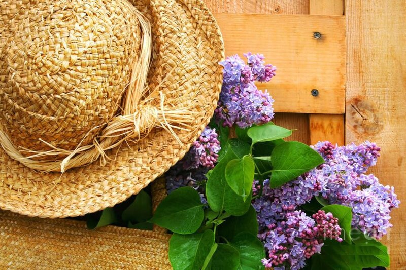 Straw Hat with Lilacs — Purple, Serene