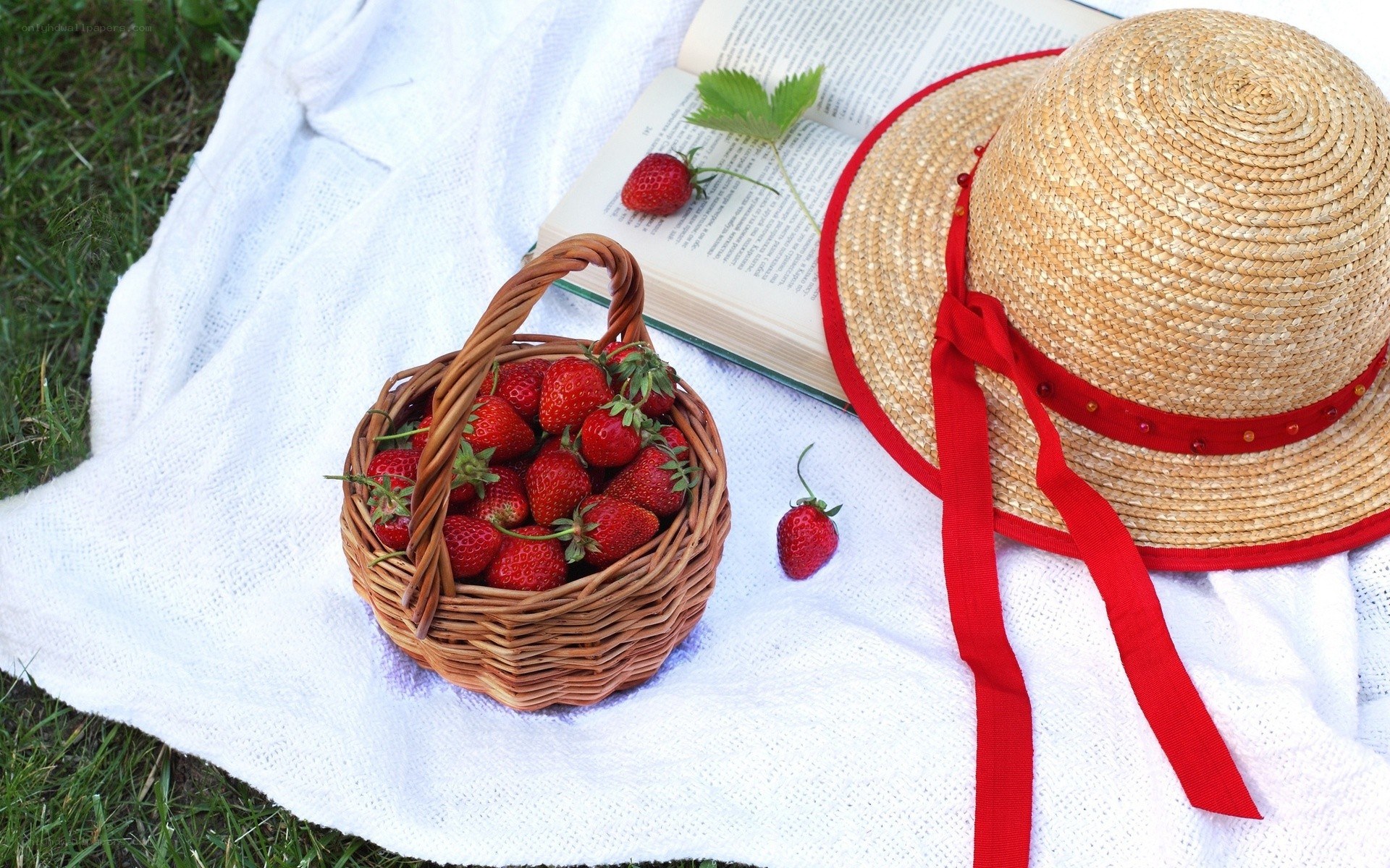 Strawberries and book on blanket