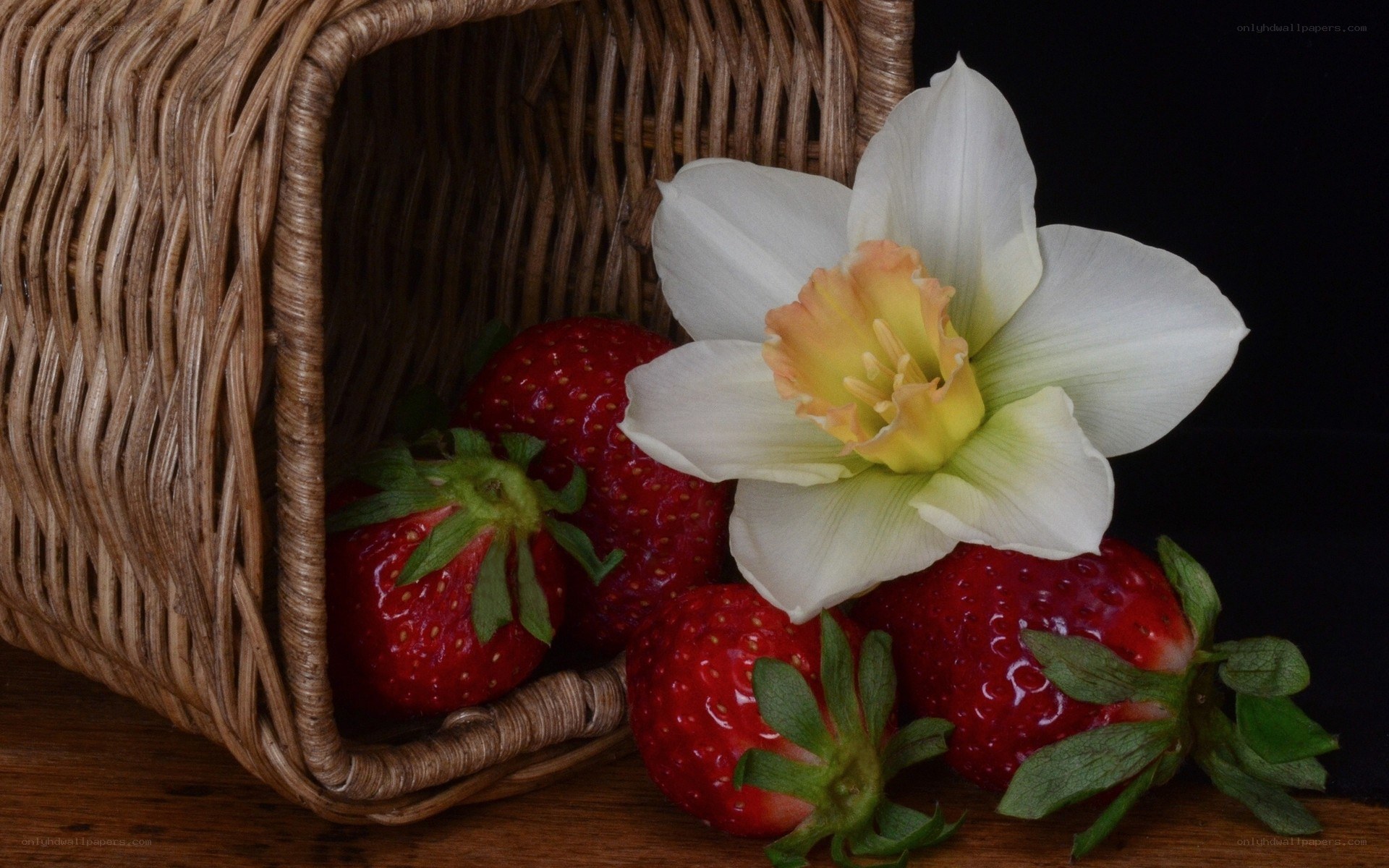 Strawberries and daffodil in basket