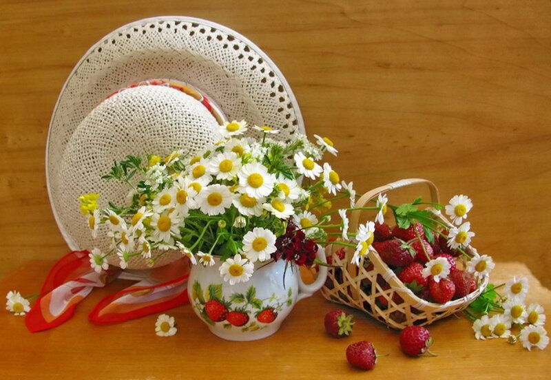 Strawberries and Daisies — Brown, Serene, Summer