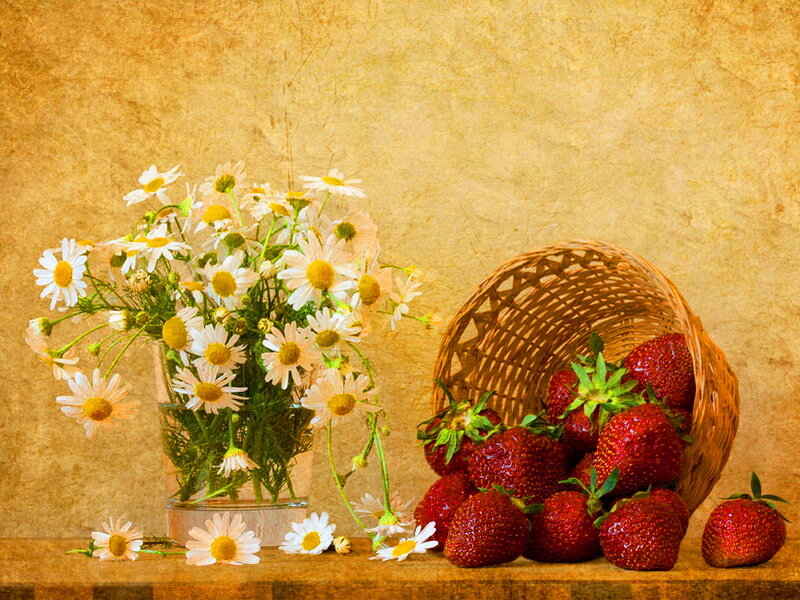 Strawberries and Daisies — Brown