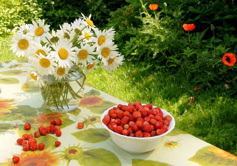 Strawberries and Daisies — Green