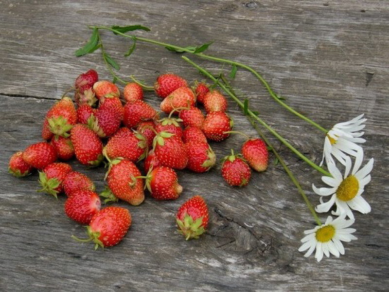 strawberries and daisies on wood