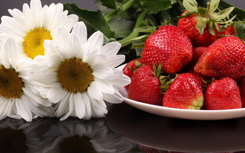 Strawberries and Daisies — Red, Calm