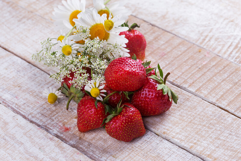 Strawberries and Daisies — Red, Natural, Summer