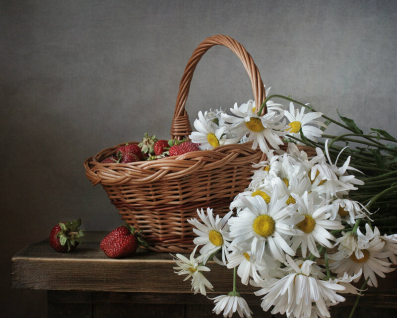 Strawberries and Daisies — White, Calm