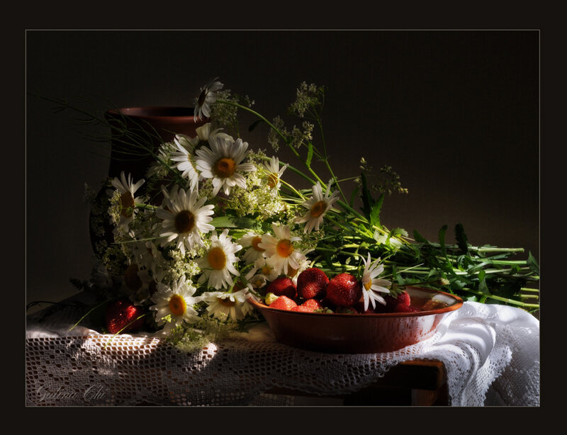 Strawberries and Daisies — White, Dramatic