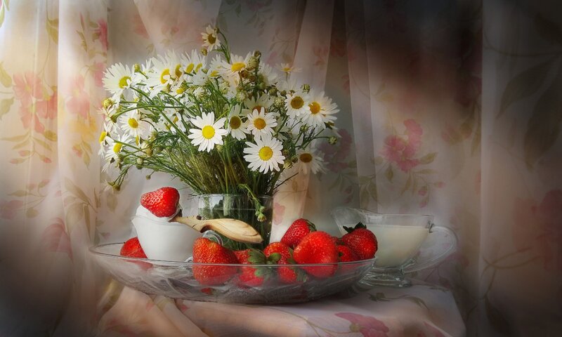 Strawberries and Daisies — White, Serene, Morning