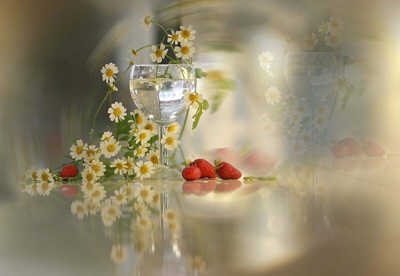 Strawberries and Daisies — White, Serene, Photograph
