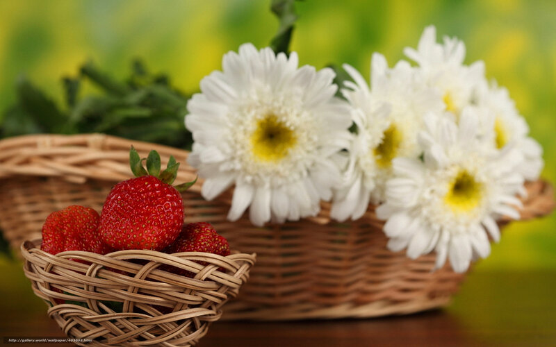 Strawberries and Daisies — White, Serene, Spring