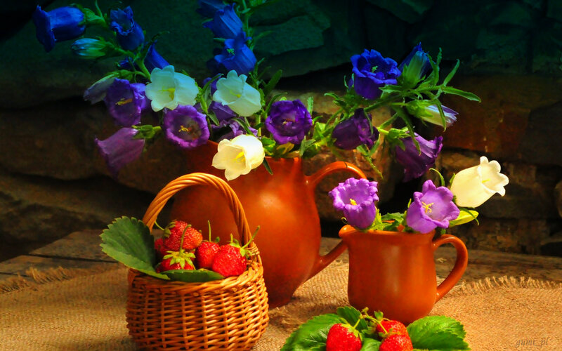 Strawberries and Flowers — Brown, Calm