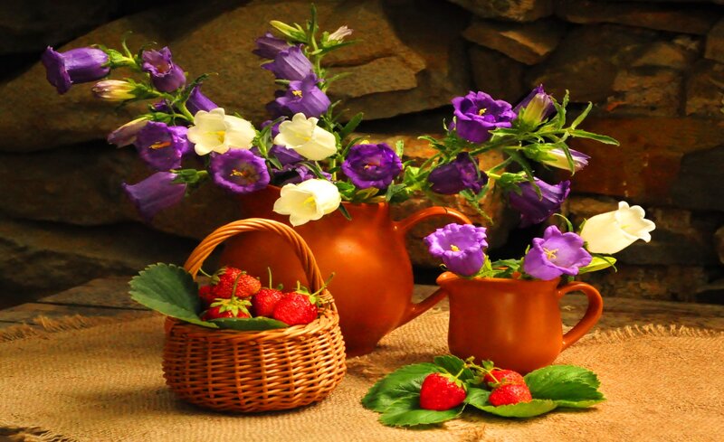 Strawberries and Flowers — Brown, Serene, Photograph