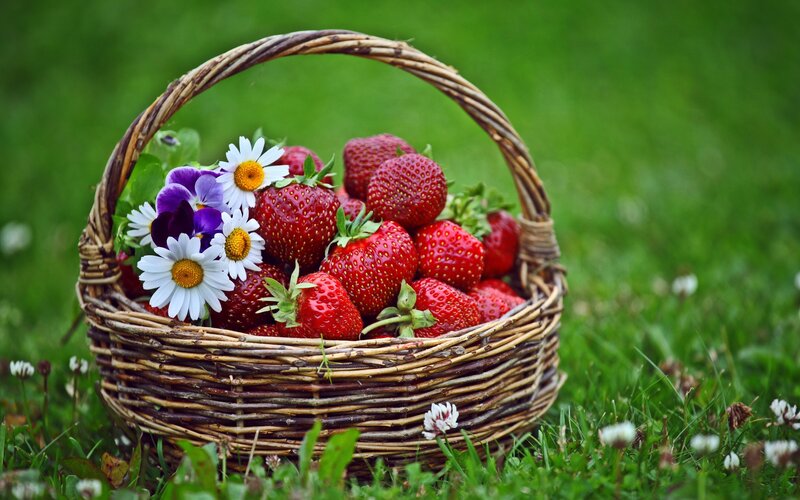 Strawberries and flowers in a basket