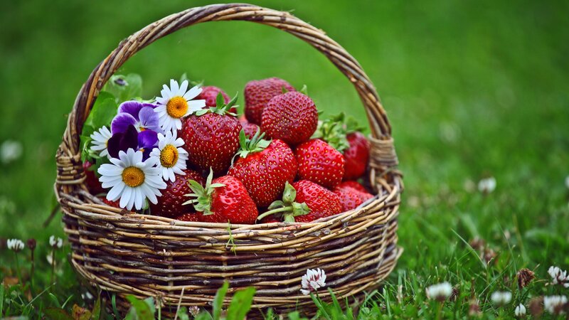 Strawberries and flowers in a basket