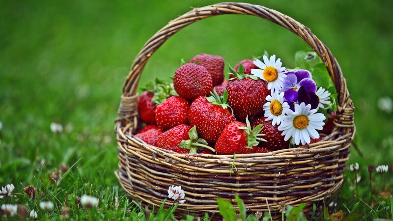 Strawberries and flowers in a basket