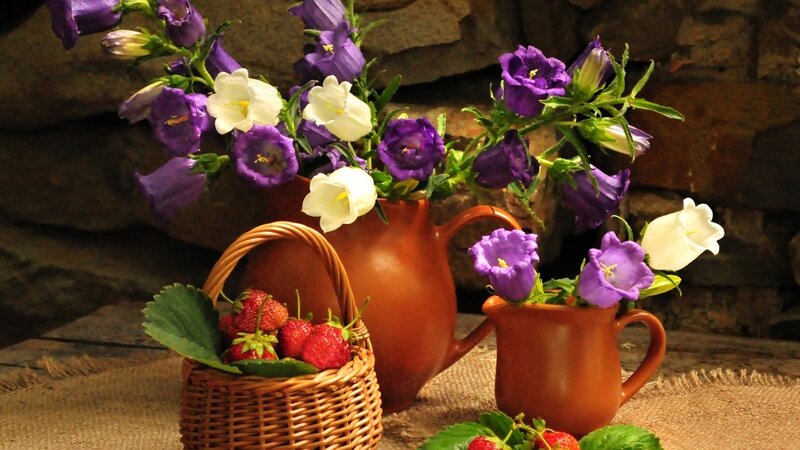 Strawberries and Flowers — Purple, Calm, Photograph, Basket, Pitcher
