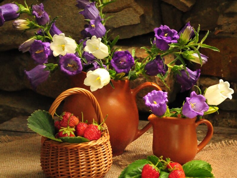 Strawberries and Flowers — Purple, Calm, Photograph, Basket