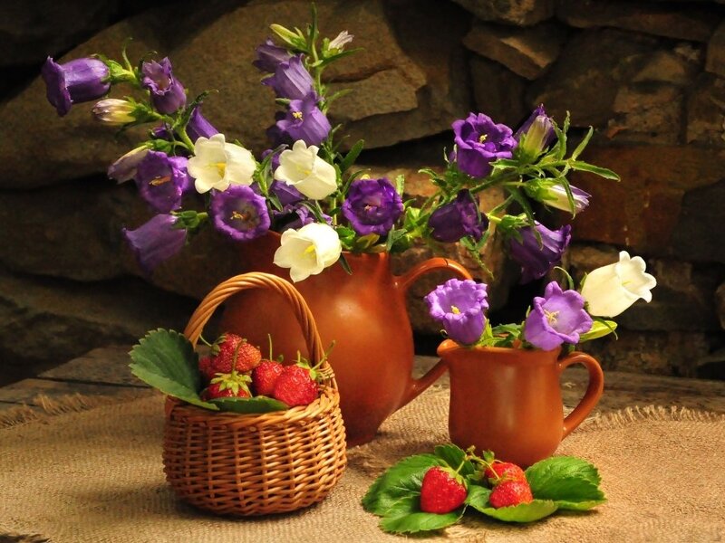 Strawberries and Flowers — Purple