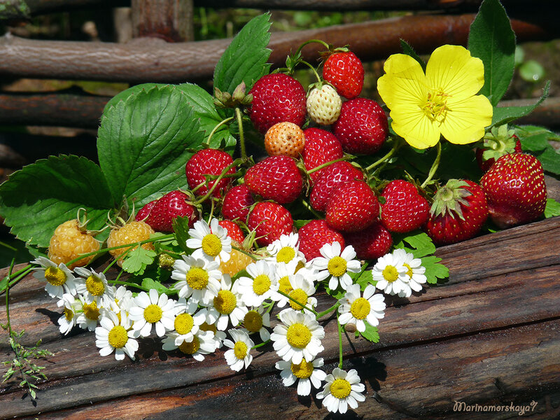 Strawberries and Flowers — Red, Natural, Afternoon