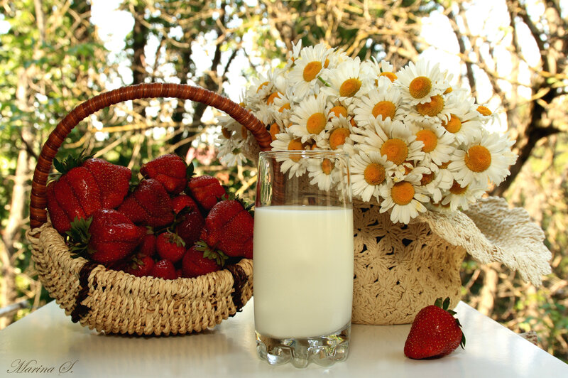 Strawberries and Milk — White