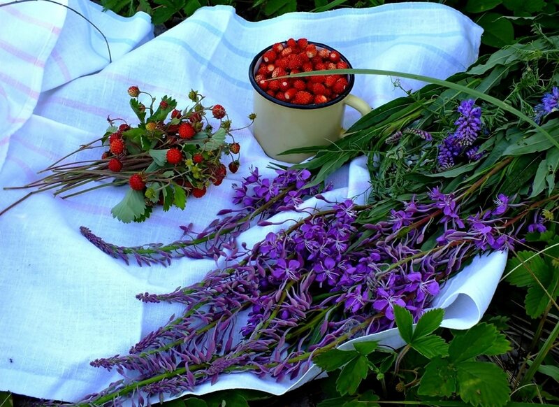 Strawberries and Purple Flowers