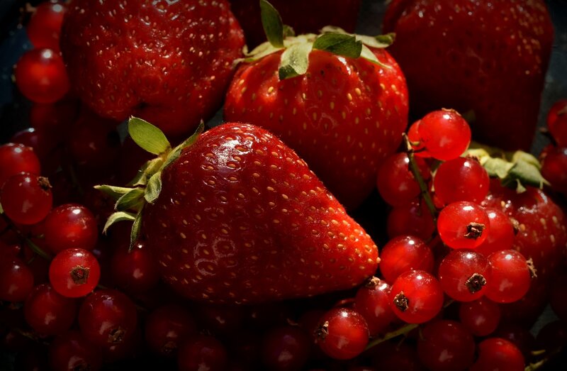 Strawberries and Red Currants — Dramatic
