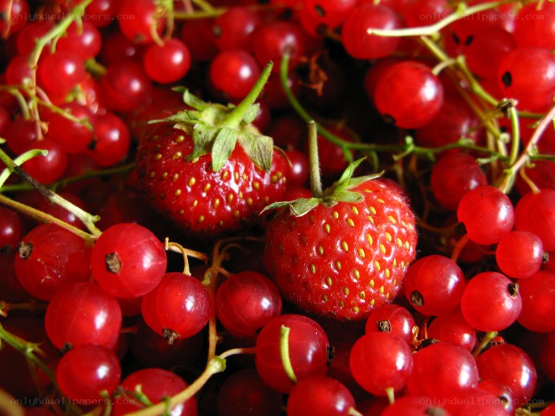 strawberries and red currants