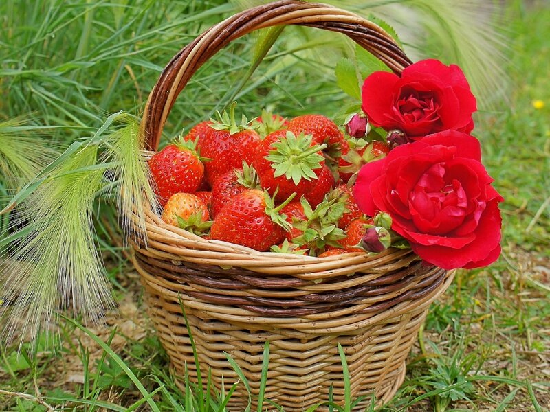 Strawberries and Roses in Basket
