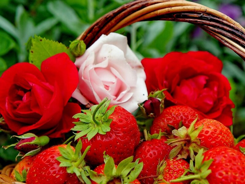 Strawberries and Roses — Red, Natural, Summer