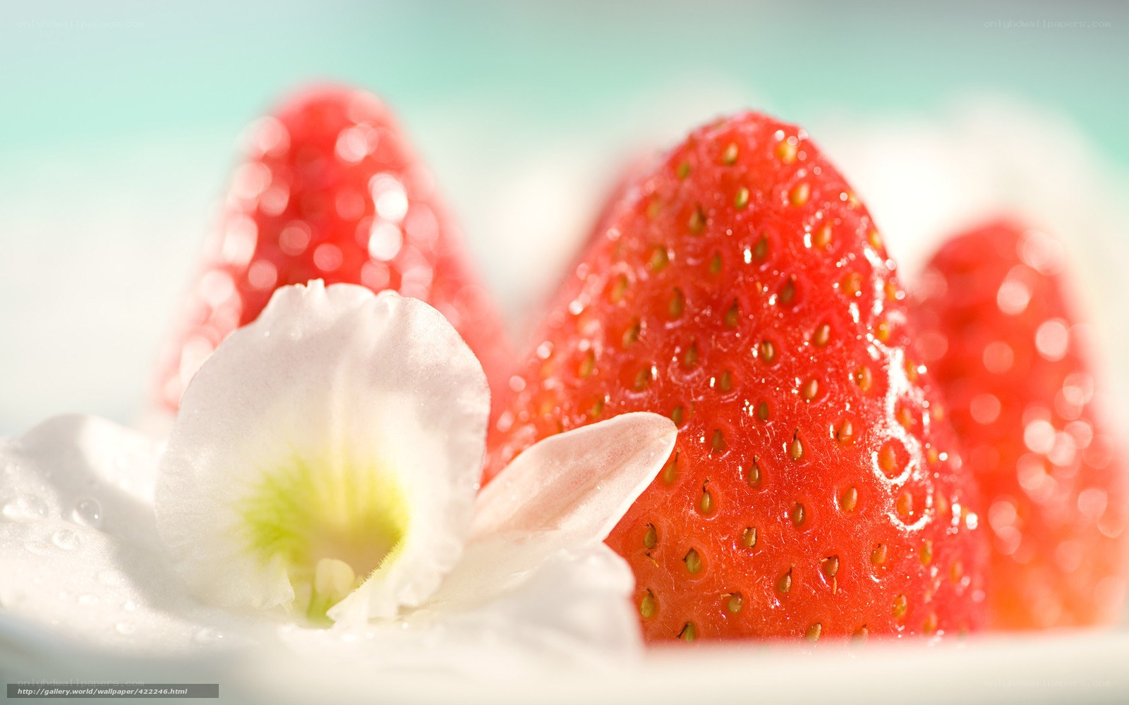 strawberries and white flower