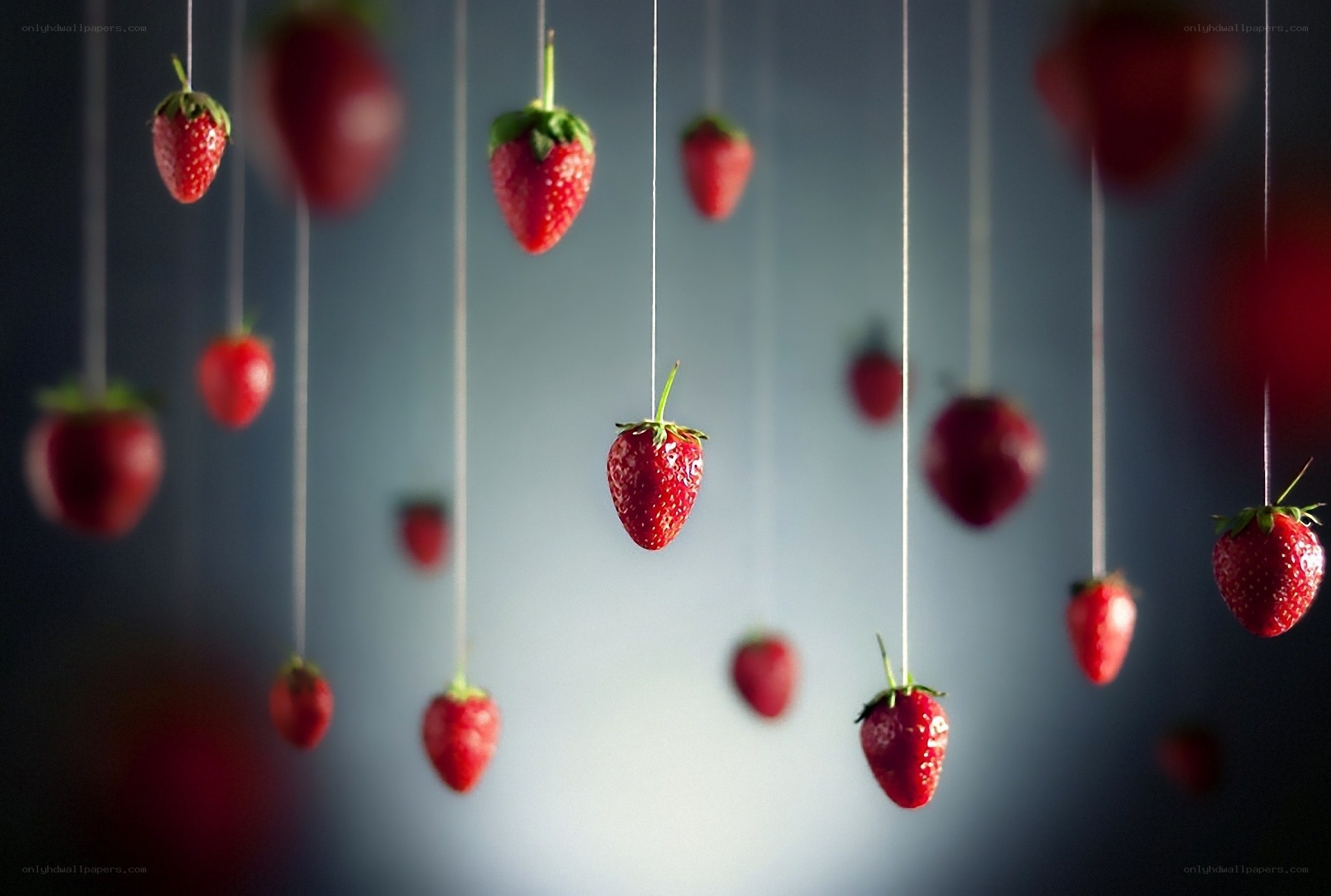 Strawberries hanging from strings