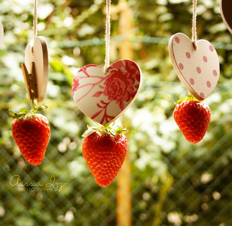 Strawberries Hanging on Hearts