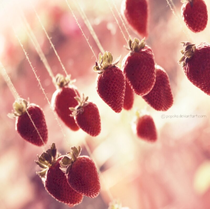Strawberries Hanging on Strings — Red