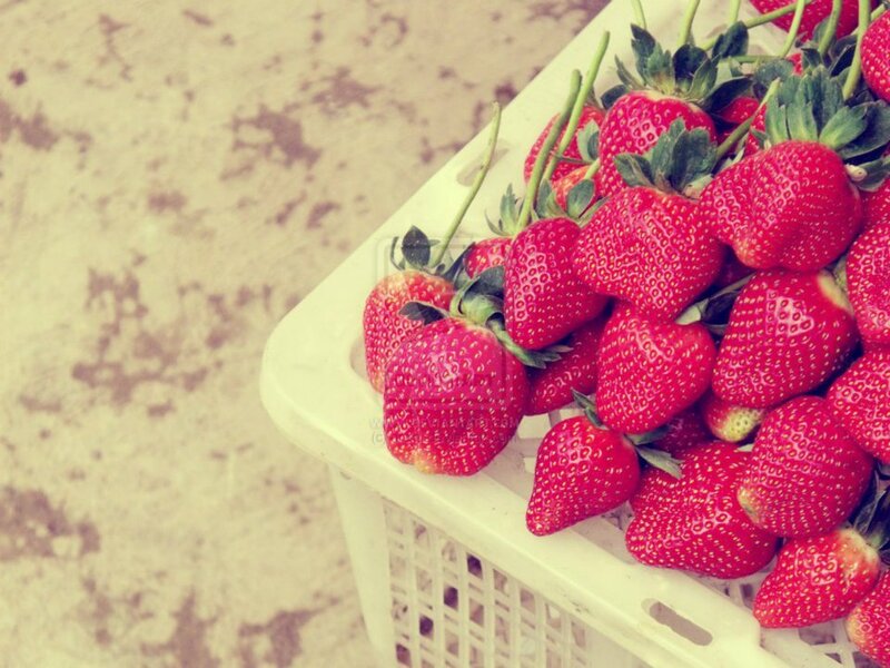 Strawberries in a Basket — Red, Calm