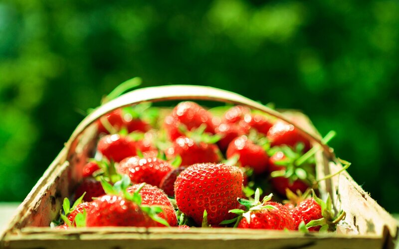 Strawberries in a Basket — Red, Natural, Afternoon